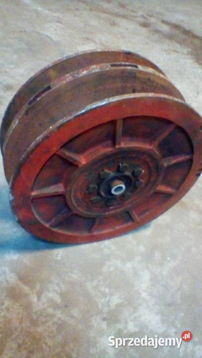 warjator bizon Kramsk