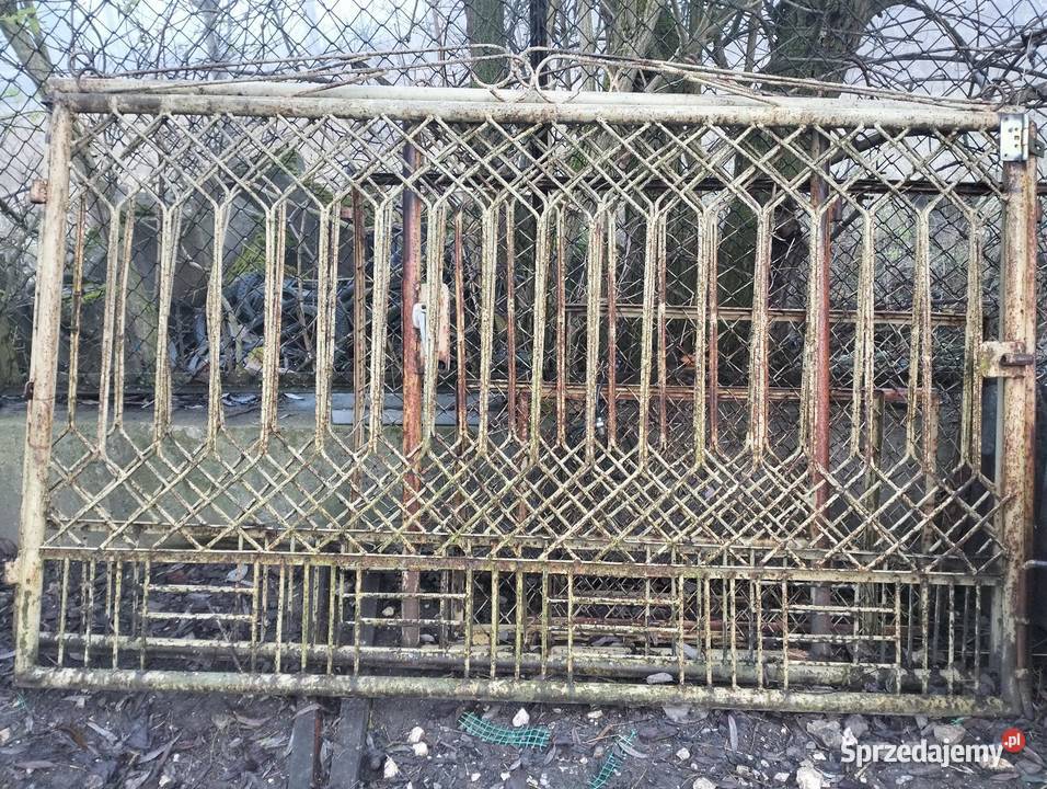 Sprzedam wszystko to co na zdjęciach