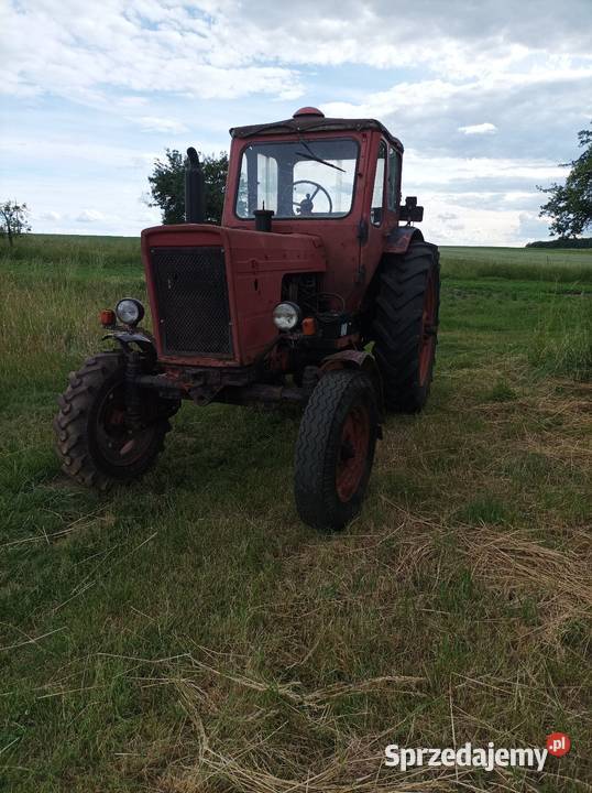 Sprzedam MTZ 50 sprowadzony z Niemiec Belarus
