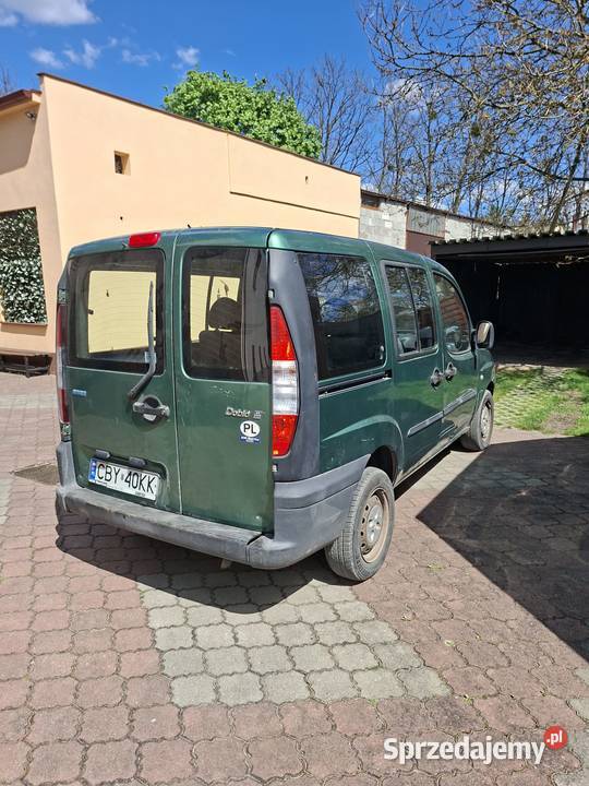 Fiat Doblo Brzoza