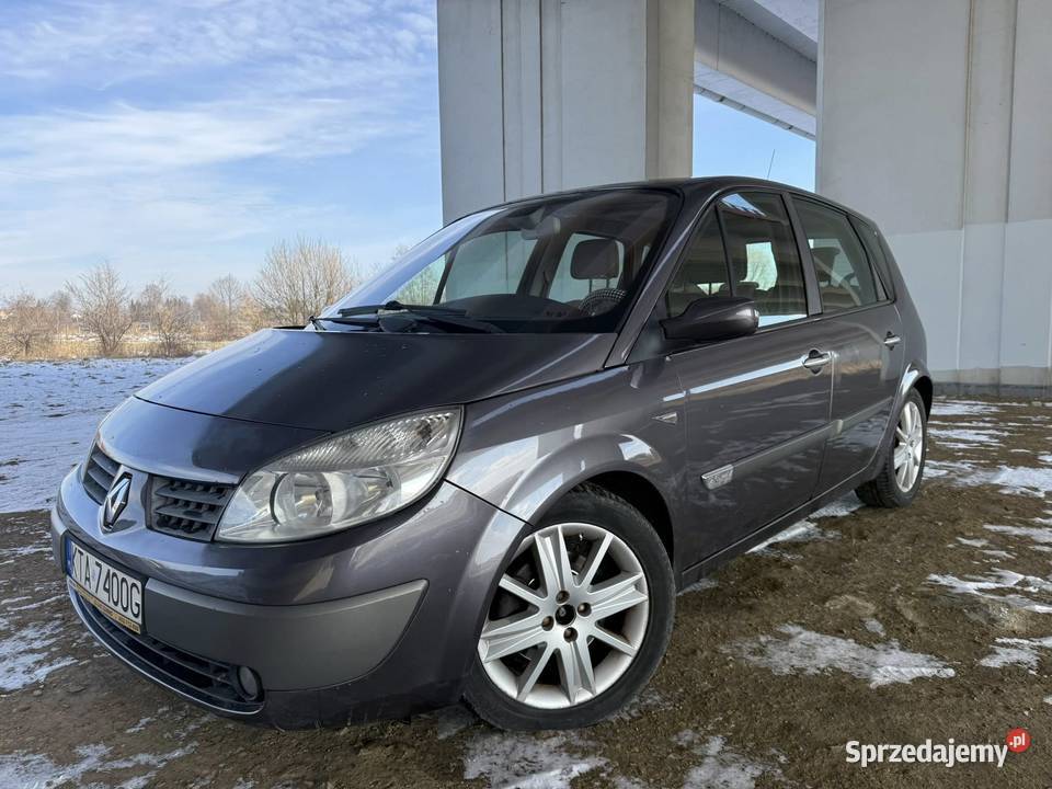 Renault Scenic 20 Benzyna 2007r HAK