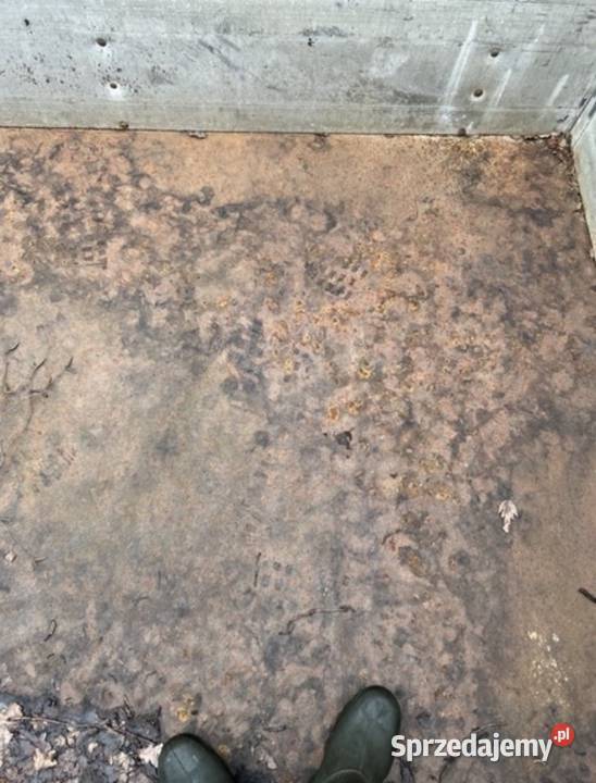 Przyczepa 12 ton z papierami Przyczepy rolnicze Pokój