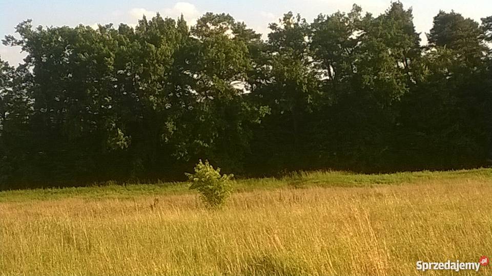 Działka Niepołomice Wola Batorska widok na Puszc woda sprzedam