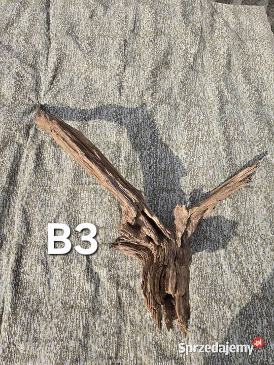 Korzeń ozdobny do domu ogrodu akwarium Trzciel