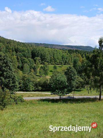 Sprzedam działkę rolną zabudowaną z planem Łężyce