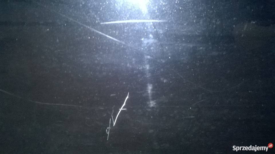 Drzwi prawe przednie Seat Leon 2 Suków