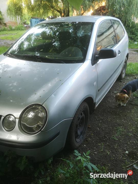 Volkswagen polo dolnośląskie Kotowice