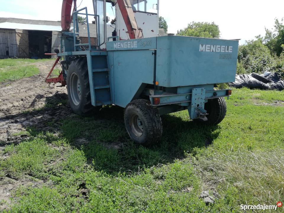 Sieczkarnia do kukurydzy Mengele sf300 Maszyny zielonkowe lubelskie Komarów Dolny