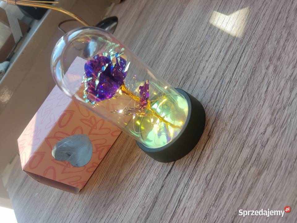 Róża led nowa Zamość