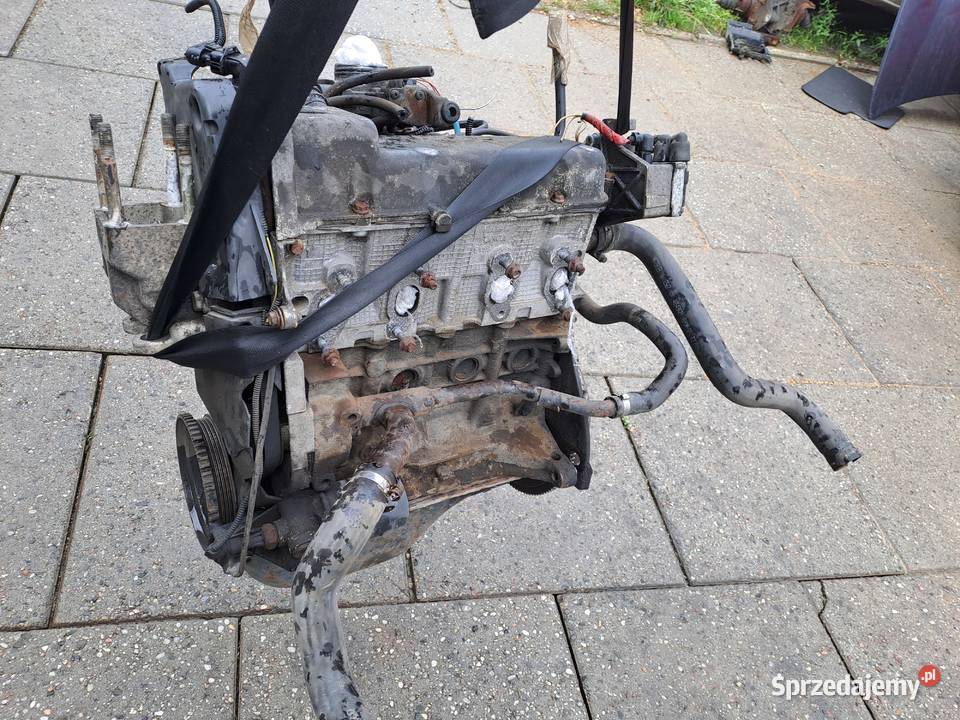 Fiat Punto 12 8V silnik kompletny kod 188A4000 Jastrzębie-Zdrój