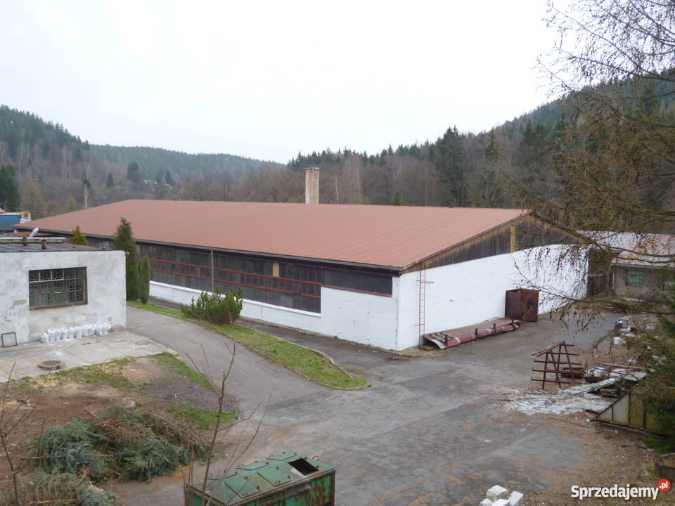 Zakład hale produkcyjnemagazynowe parking dolnośląskie Szczytna