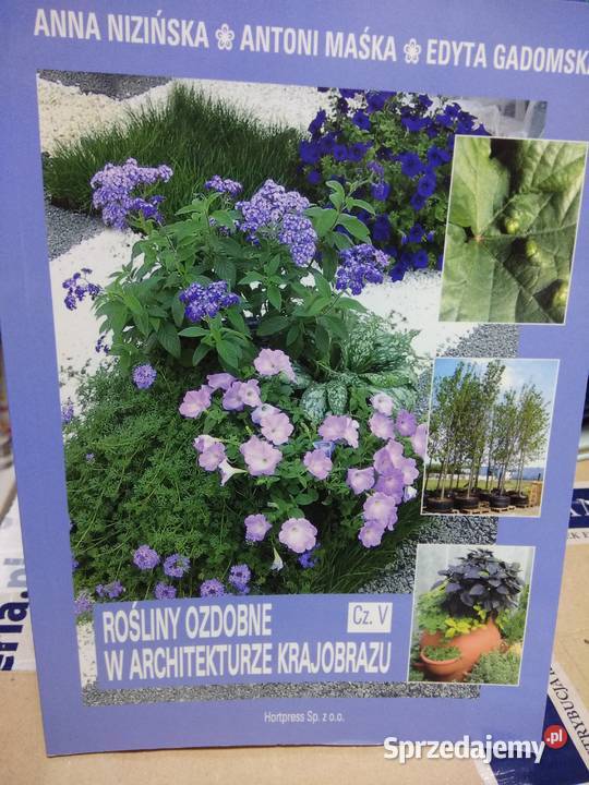 Rośliny ozdobne 5 w architekturze krajobrazu