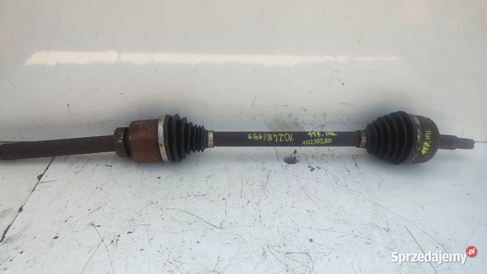 117RENAULT MASTER III OPEL MOVANO B 23 DCI