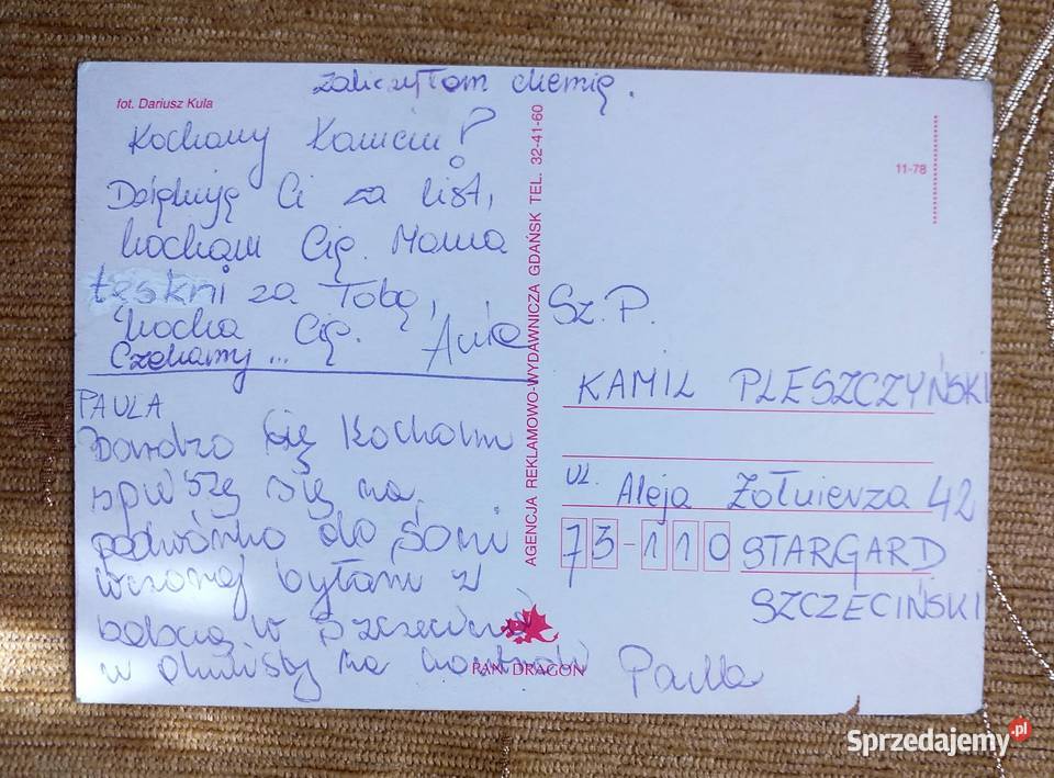 PIES Z CZAPKĄ NA GŁOWIE FOT DARIUSZ KULA Piszczac