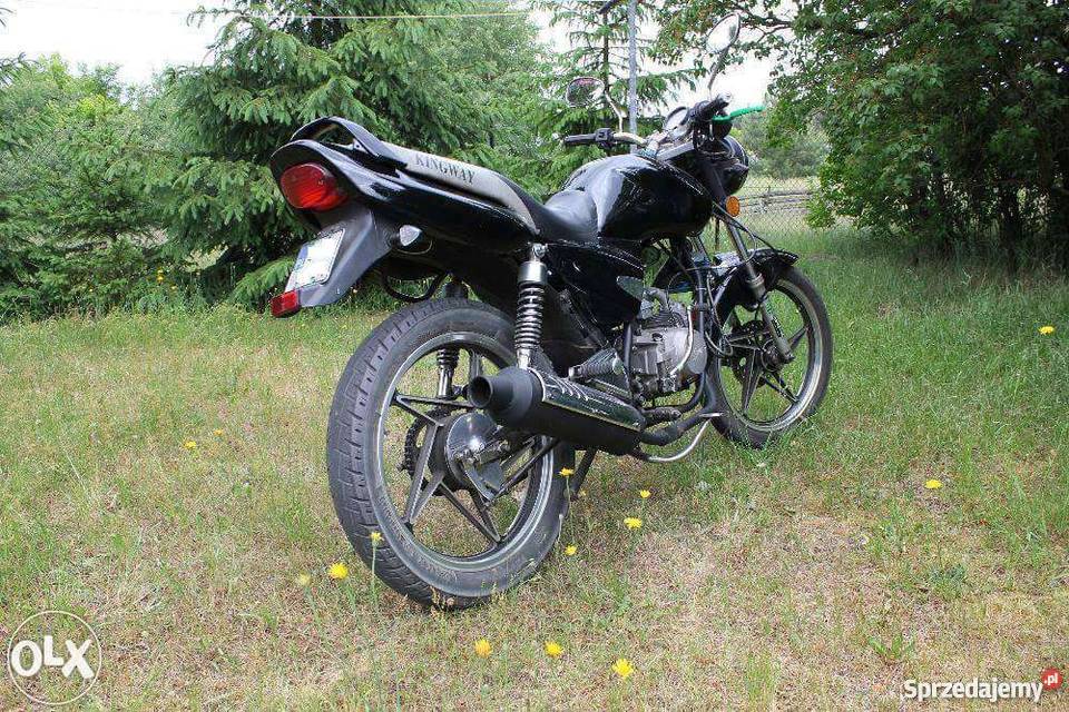 Kingway Naked 12550 kategoria AM B łańcuch pomorskie Chojnice