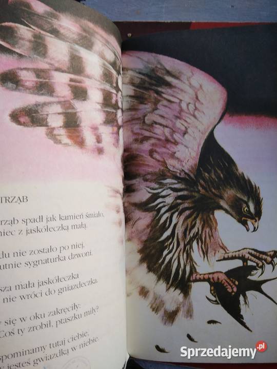 Złoty młynek książki dziecięce prezenty Warszawa