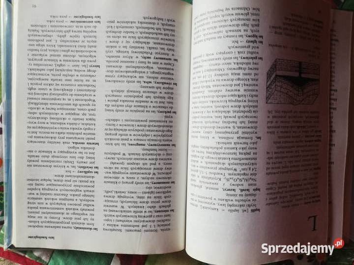Słownik szkolny G terminy geograficzne P państwa sprzedam