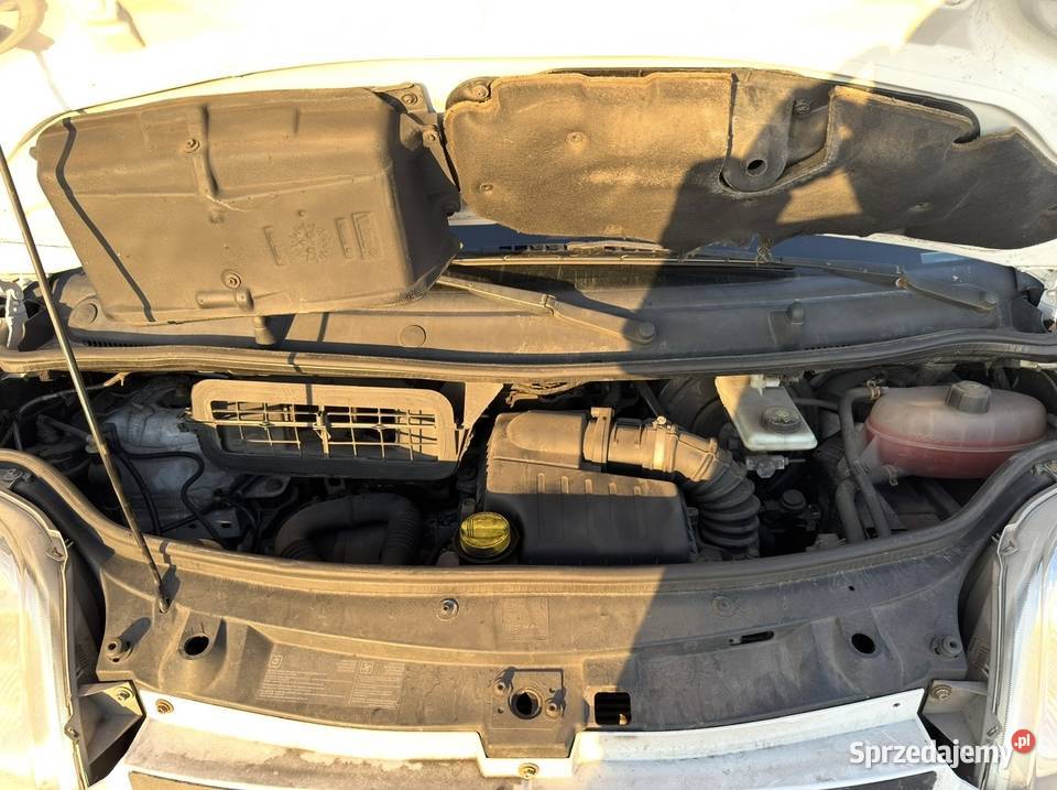 Sprzedam Opel Vivaro 20 114 L2H1Long Zadbany Bez zarejestrowany w Polsce wielkopolskie Kłodawa