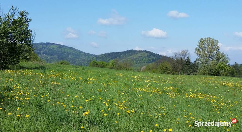 Słoneczna wszystkomająca klimatyczna i widokowa małopolskie Trzemeśnia