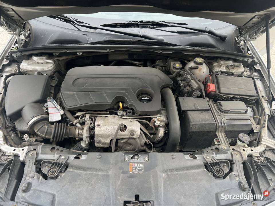 Opel Insignia B 16 CDTI Rypin