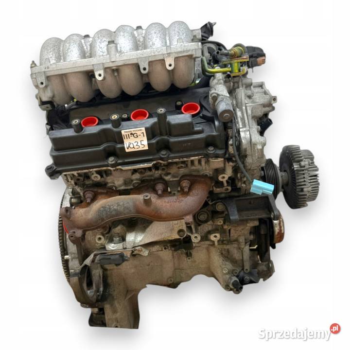 SILNIK VQ35 VQ35DE Nissan Elgrand Murano Z50 35 osobowe Silniki kompletne