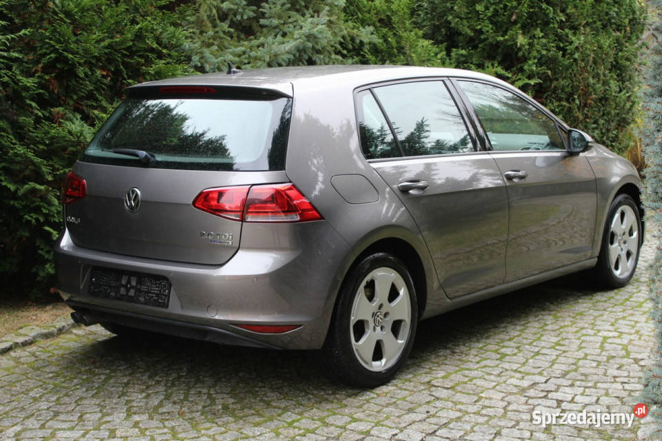 Volkswagen Golf TDI 150 DSG 188 VII 2012 Lubań