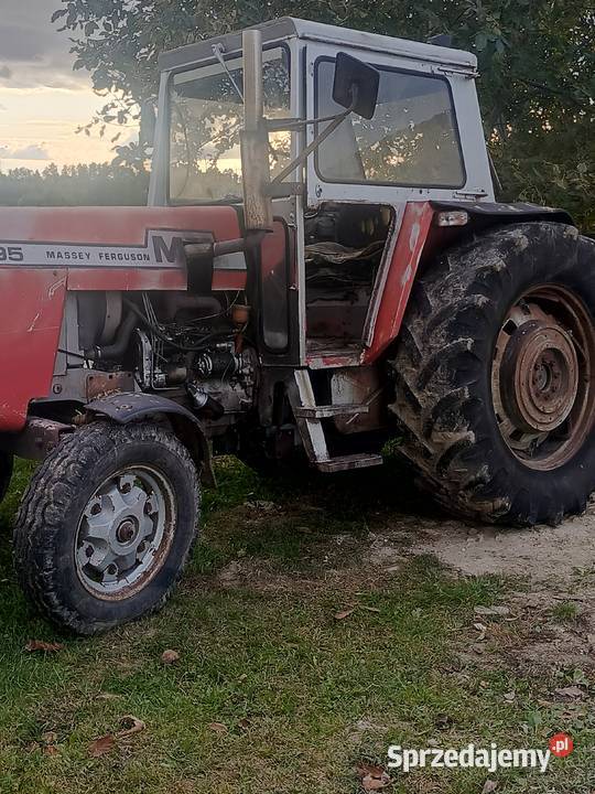 Massey Ferguson 595 kujawsko-pomorskie sprzedam