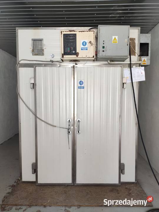 Suszarnia kontenerowa do warzyw owoców grzybów Produkcja