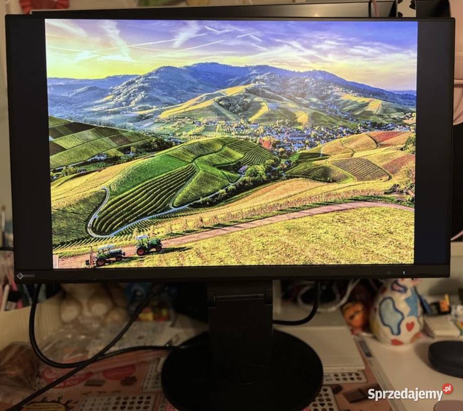 Monitor EIZO 24 IPS EV2460 USB 30 HDMI Made in Koszalin