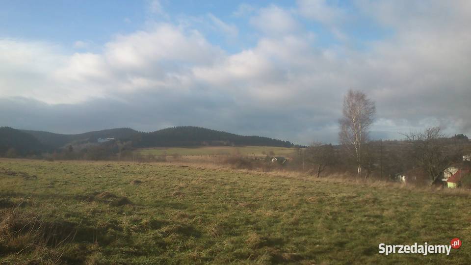 Działka budowlana 3600 m2 uzdrowisko Szczytna dolnośląskie