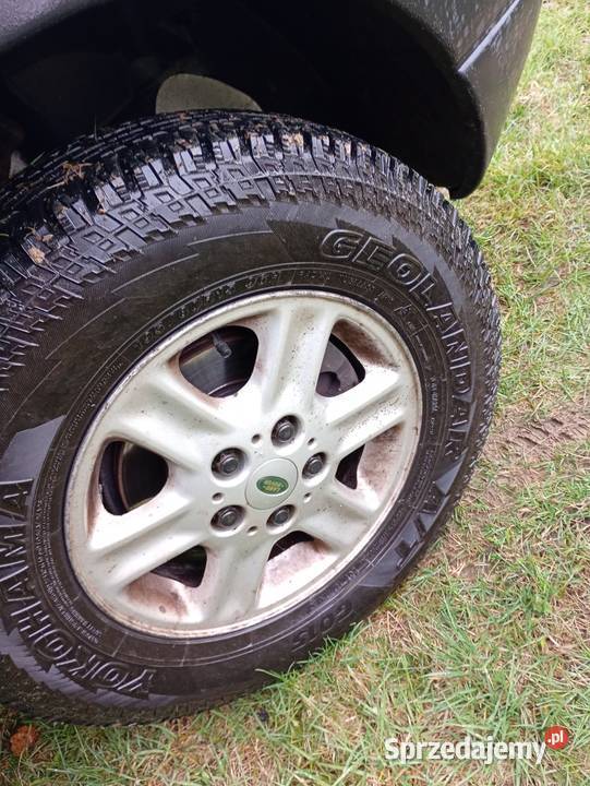 Land Rover Freelander td4 20 4x4 Europa