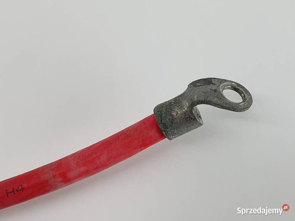 PRZEWOD PLUSOWY PEUGEOT EVIVACITY łódzkie Janowice