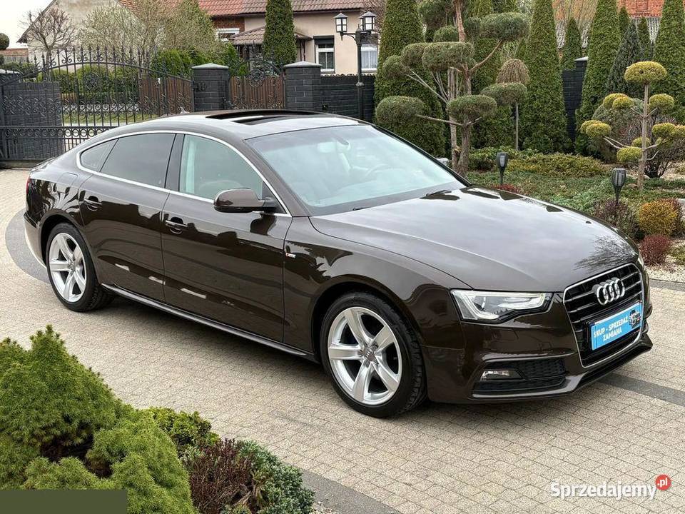 Audi A5 Sportback 20 TDI DPF 136 2013r Stan wielkopolskie