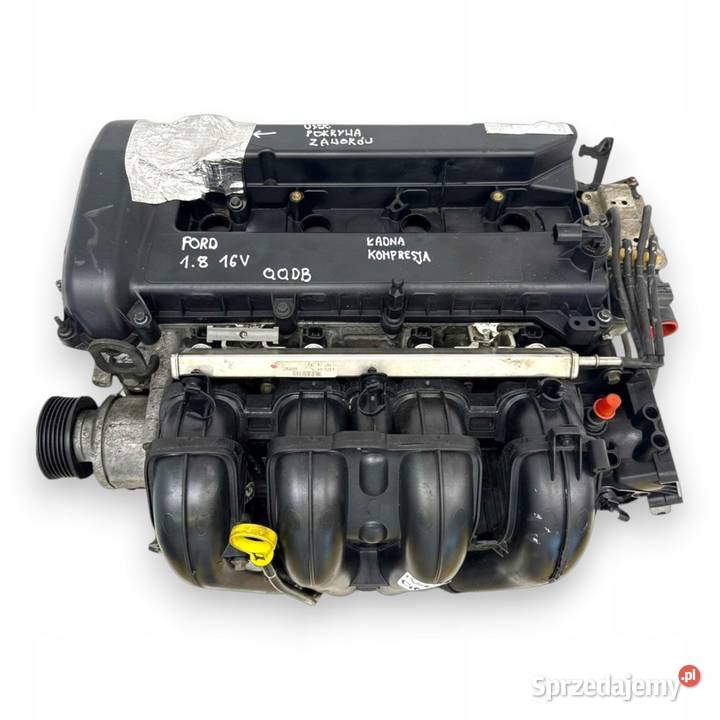 SILNIK QQDB Ford Focus II MK2 C C 18 16V 125 osobowe Chełm