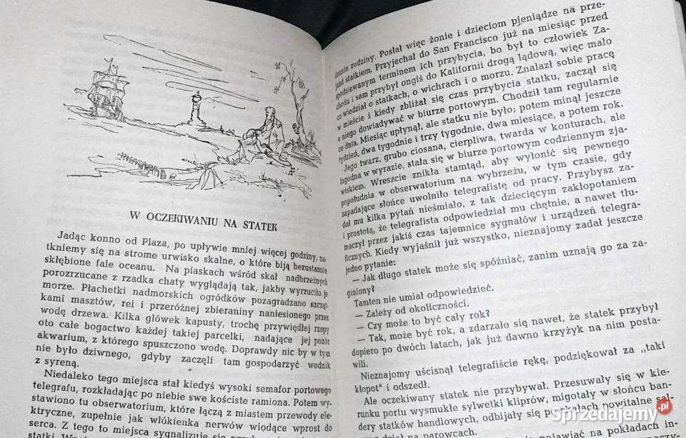 Trzech włóczęgów z Trinidad Bret Harte miękka sprzedam