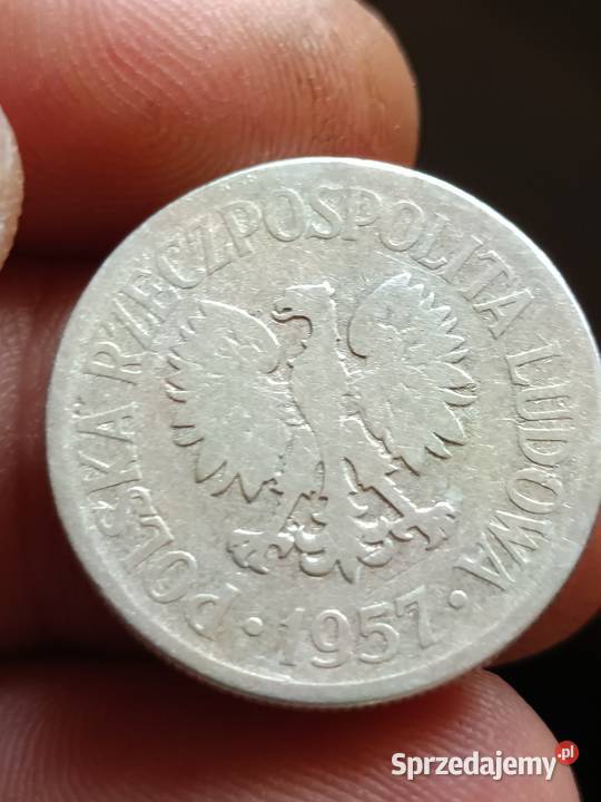 Sprzedam monete 50 groszy 1957 skretka ttt Chełm sprzedam