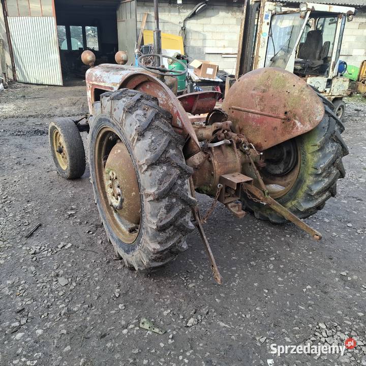 Massey ferguson 35 Grabów nad Wisłą