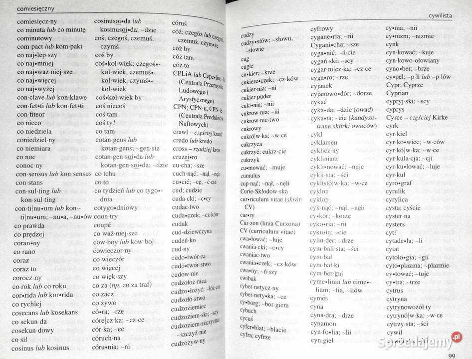 Podręczny słownik ortograficzny Zygmunt Saloni twarda Chełm sprzedam