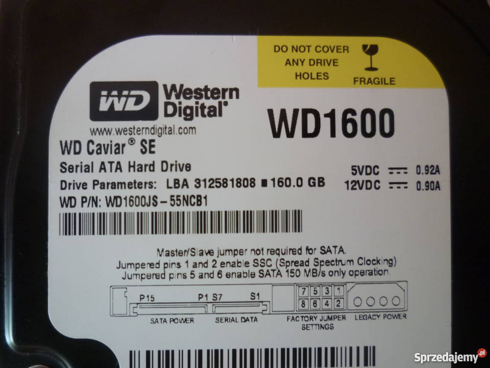 dysk twrdy 160gb 2 western digital Sandomierz