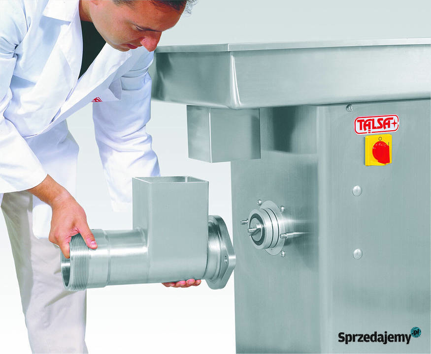 Wilk do mięsa Talsa Wieluń