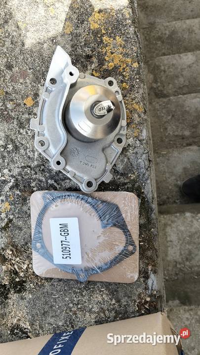 Nowy rozrząd Trafił laguna 2 Tarło-Kolonia