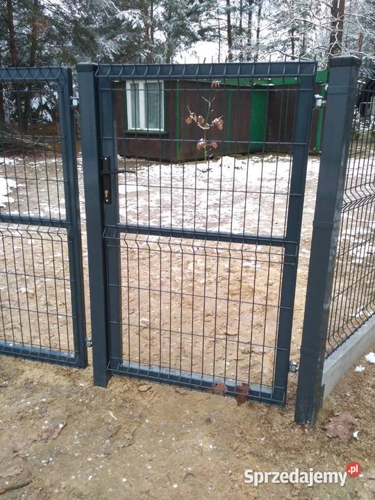 Panel ogrodzeniowy fi 40 x 123 x 2 V Brązowy Kamień
