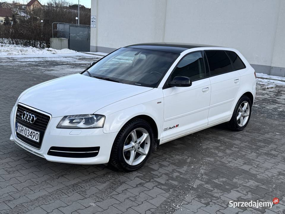 Audi A3 16 TDI 105 LED KAMERA Bezwypadkowy 263000km Gorlice
