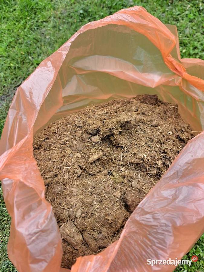 Przekompostowany obornik koński 35l bez chwastów