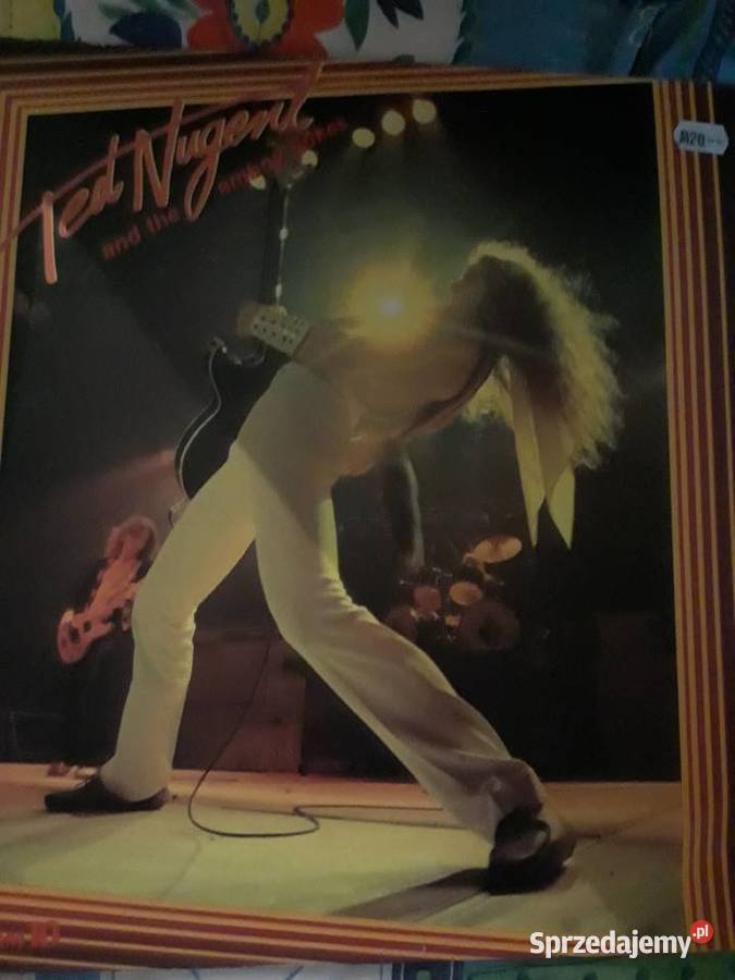 TED NUGENT Amb The Amboy Dukes Rzeszów