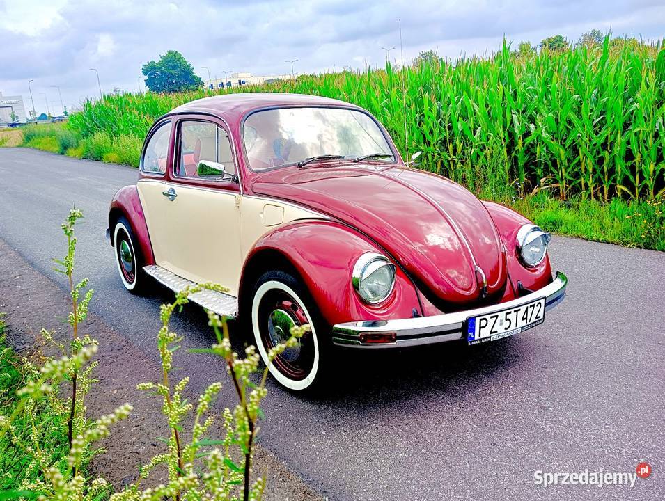 1974 Volkswagen Garbus 1302 28200km Volkswagen Kostrzyn