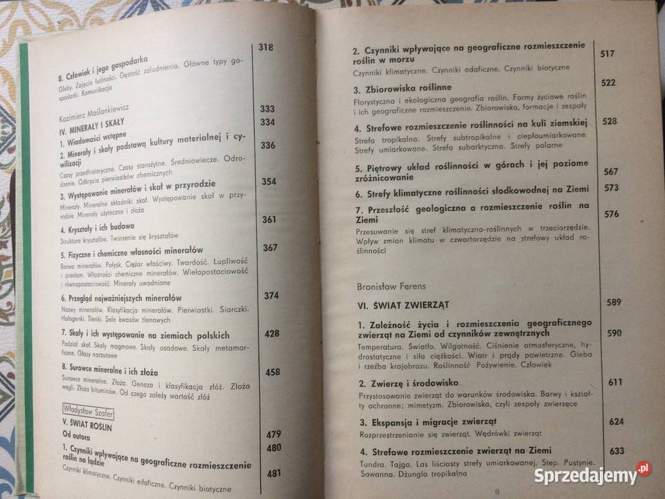 3762 Ziemia Szczecin