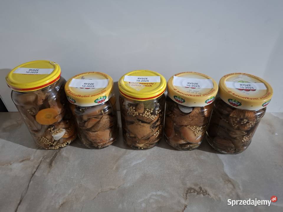 Rydze opieńki kanie gąsówki fioletowawe śląskie Czyżowice