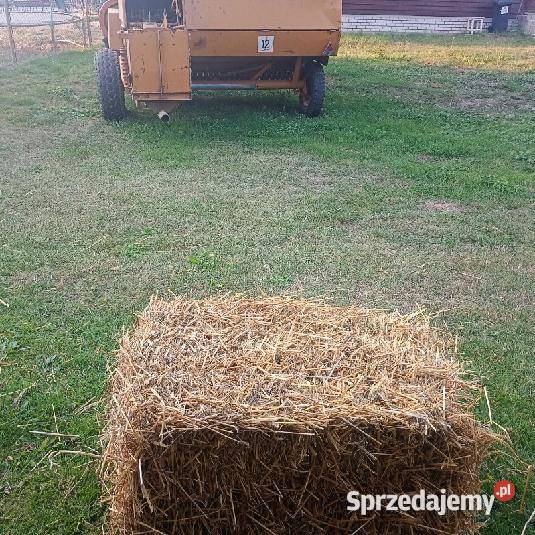 Słoma w kostkach Trawy, słoma Włoszczowa