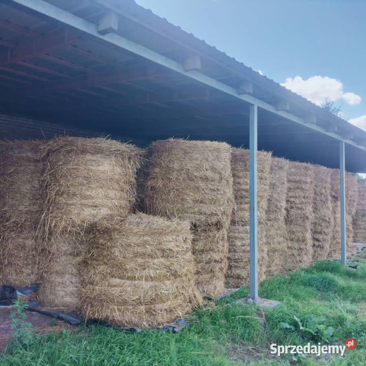 Sprzedam słomę Żytnią i Owsiankę 120120